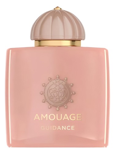 TES AMOUAGE GUIDANCE WOMAN EDP 100 ML VA